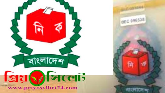 উপজেলা পরিষদ নির্বাচনের ভোটে লড়তে গিয়ে জামানত হারিয়েছেন চার উপজেলার ১১ প্রার্থী